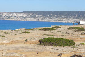 Casa Formentera 5